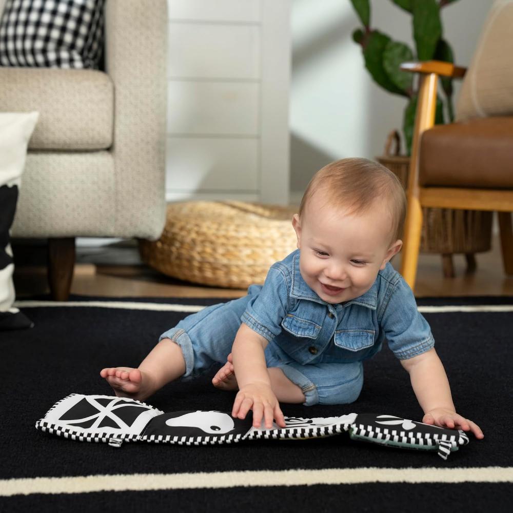 Baby Einstein Counting at the Farm Soft Activity Book