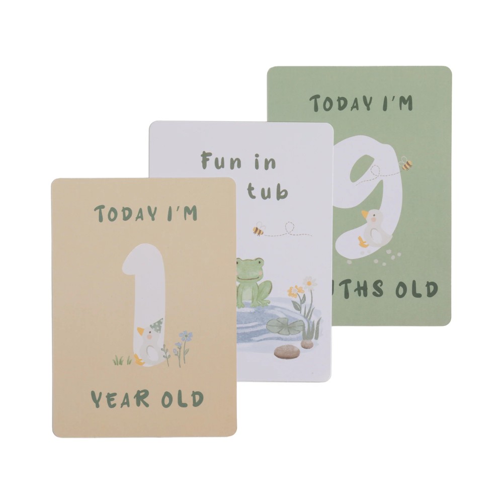 Living Textiles Milestone Cards