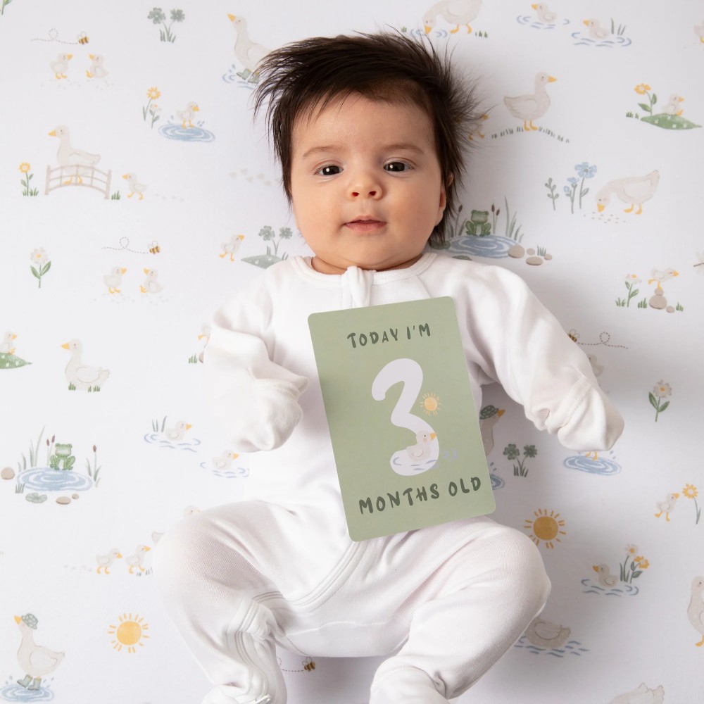 Living Textiles Milestone Cards