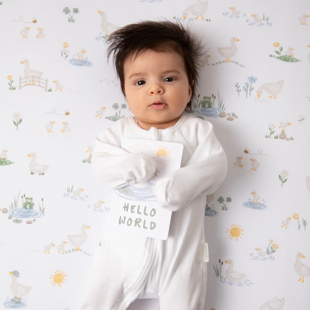 Living Textiles Milestone Cards