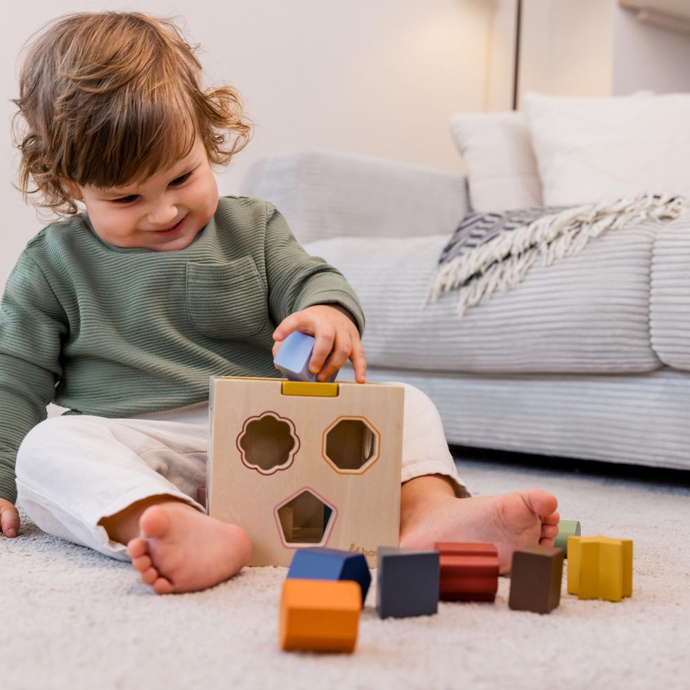 Hauck Toy Sort N Tidy