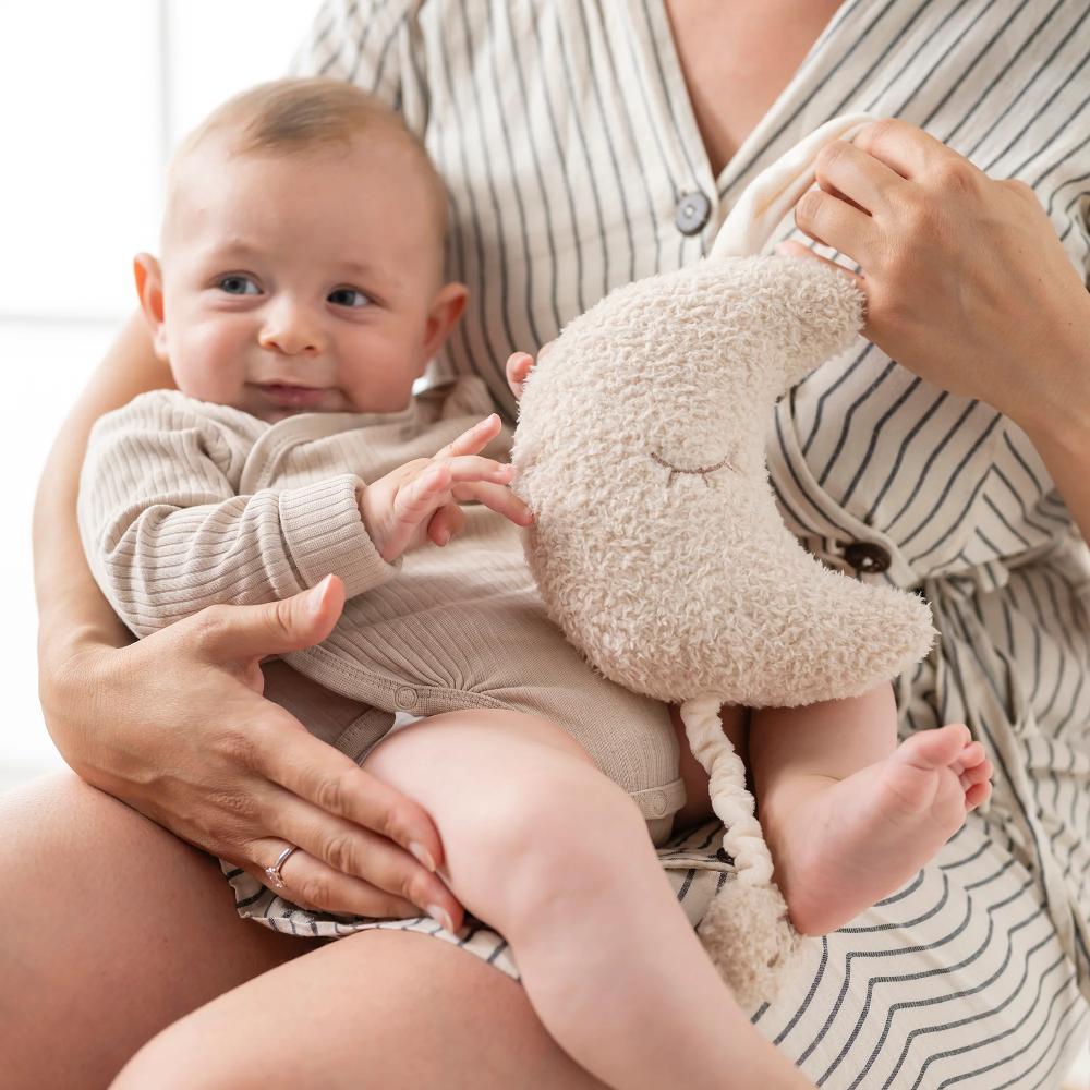 Nattou Teddy Musical Cuddly