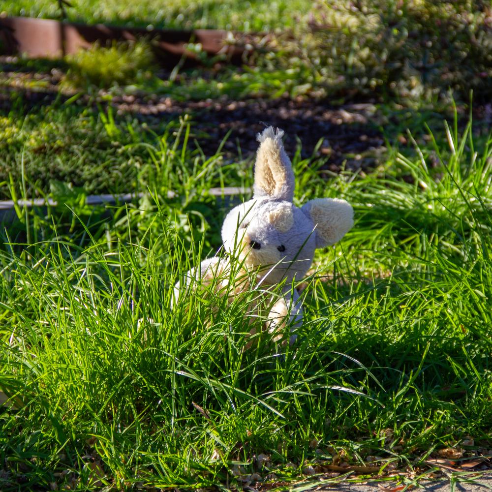 Wonderlings Ili Pika Magic Rabbit