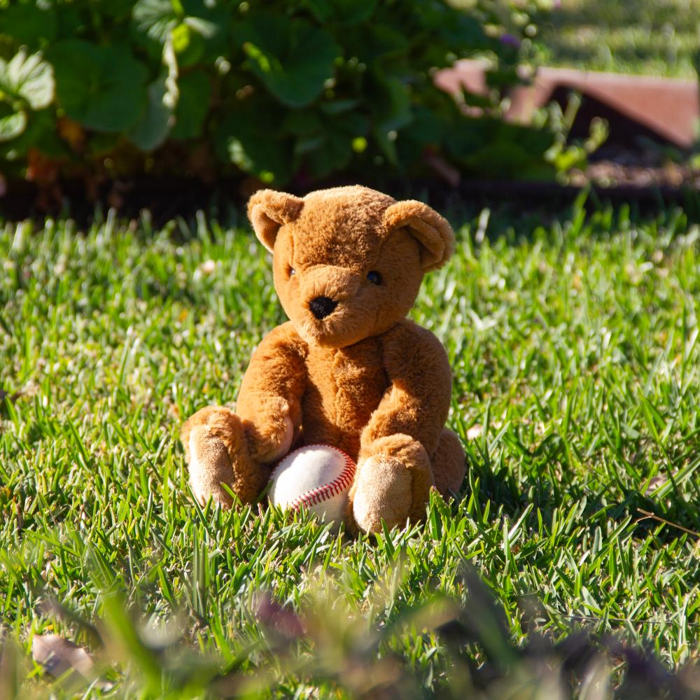 Wonderlings Theodore Teddy