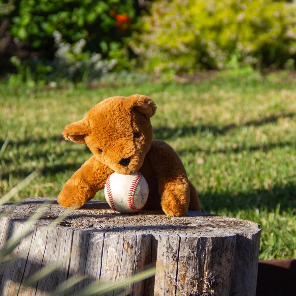 Wonderlings Theodore Teddy