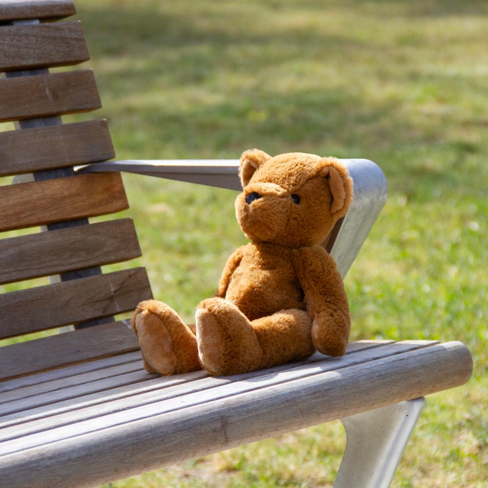 Wonderlings Theodore Teddy