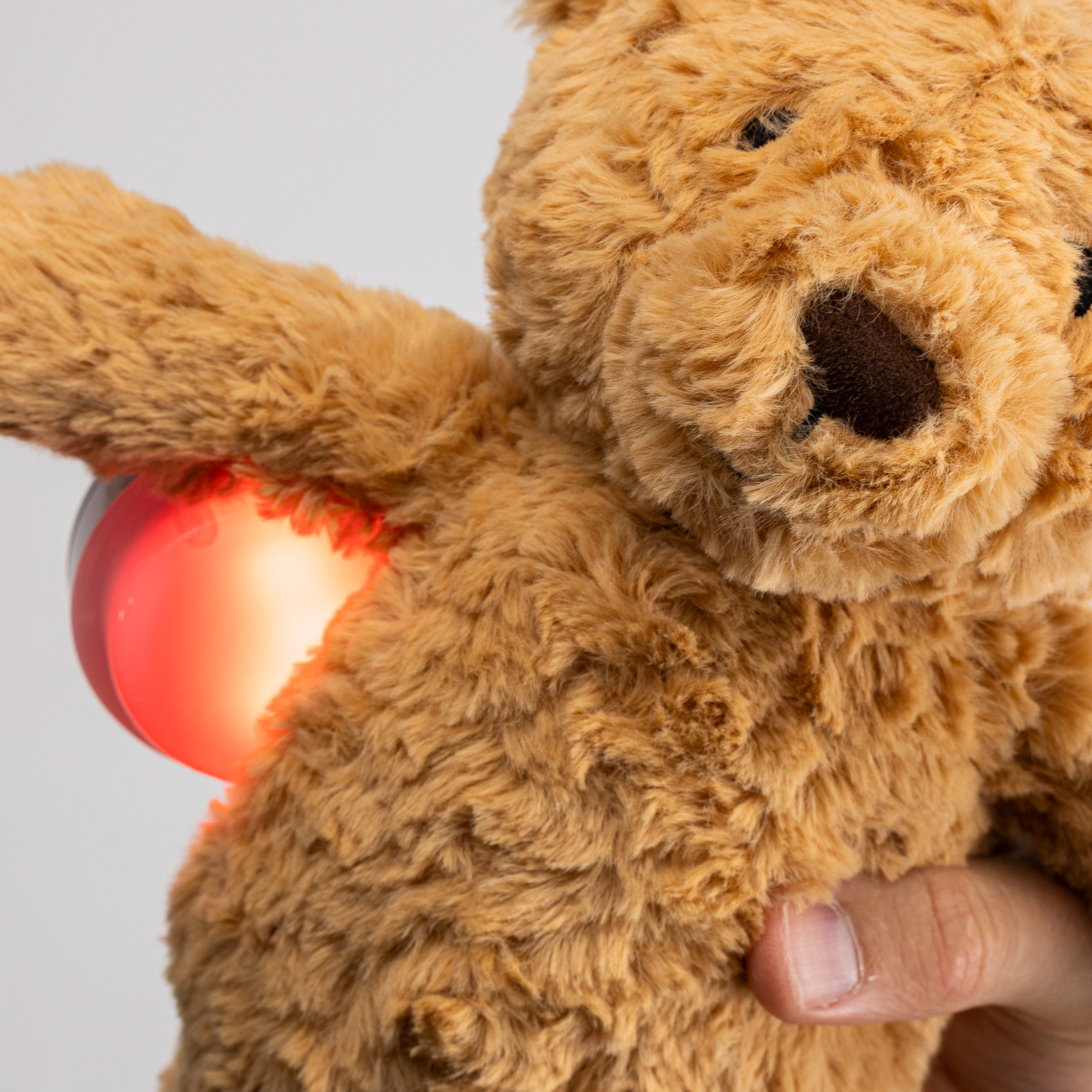 The Sleep Store Glow Friends - Anderson Bear with Rechargeable Sound & Light