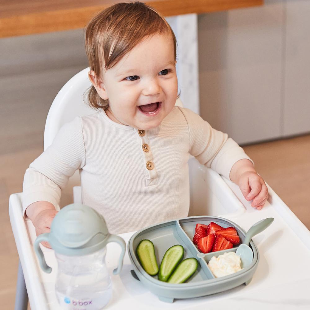 b.box 2 in 1 Suction Plate