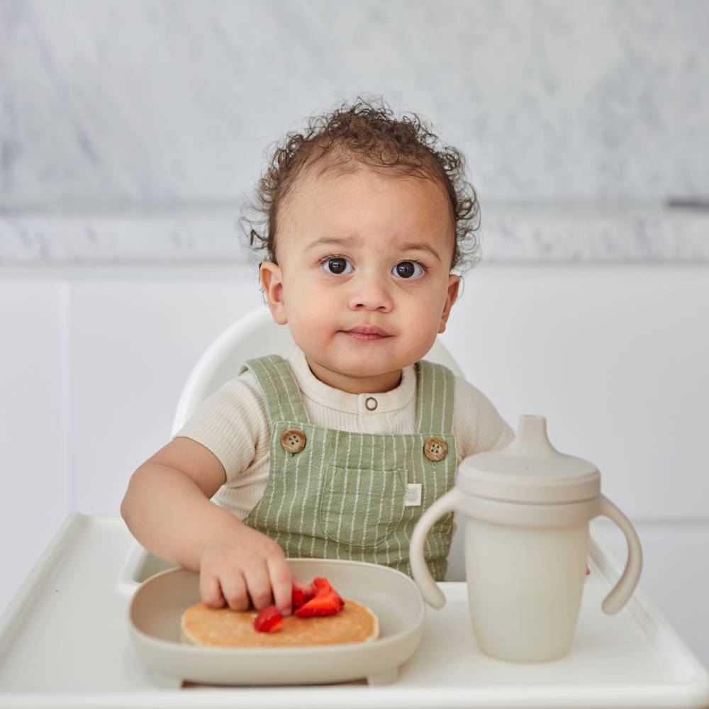 b.box 2 in 1 Suction Plate