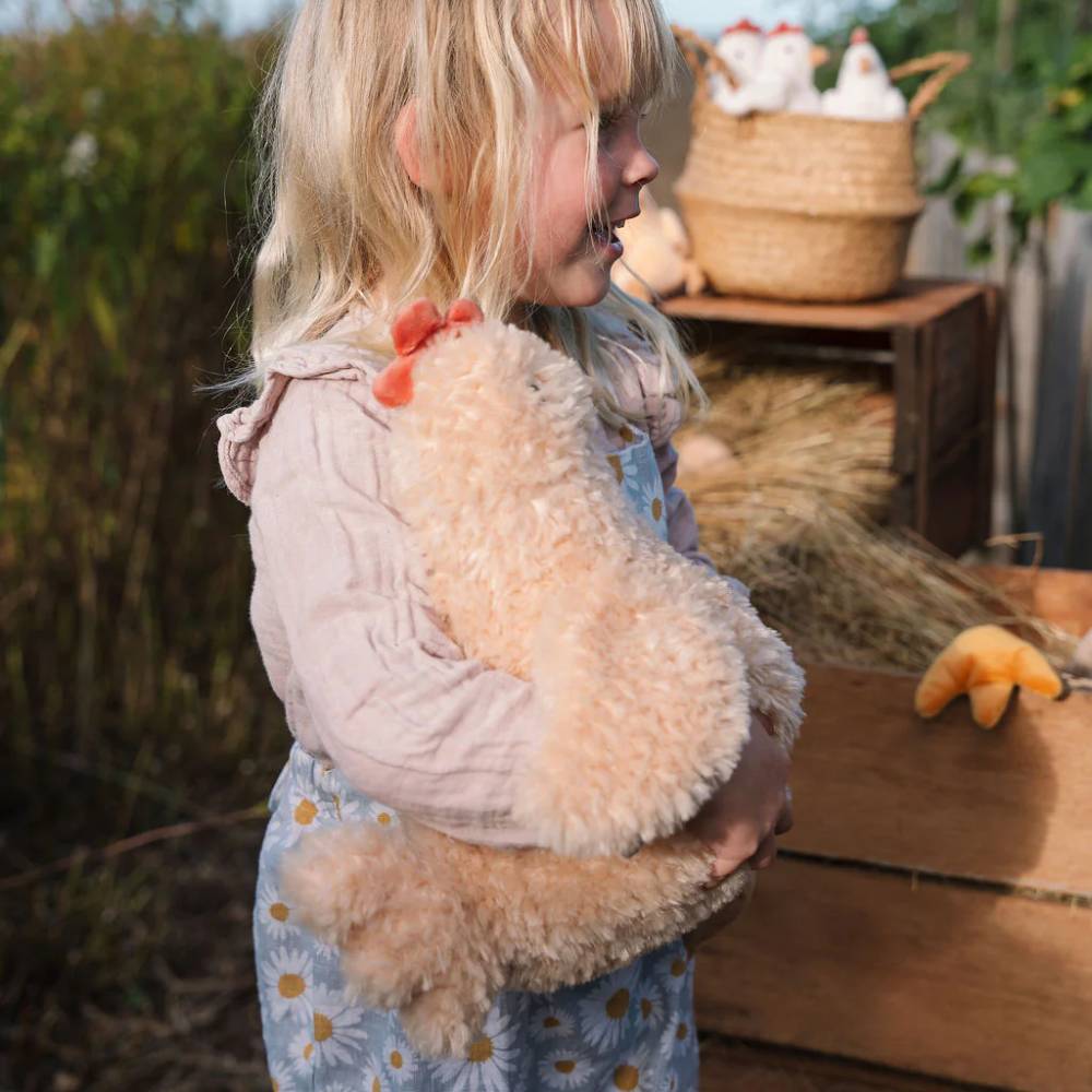 Nana Huchy Harriet the Hen