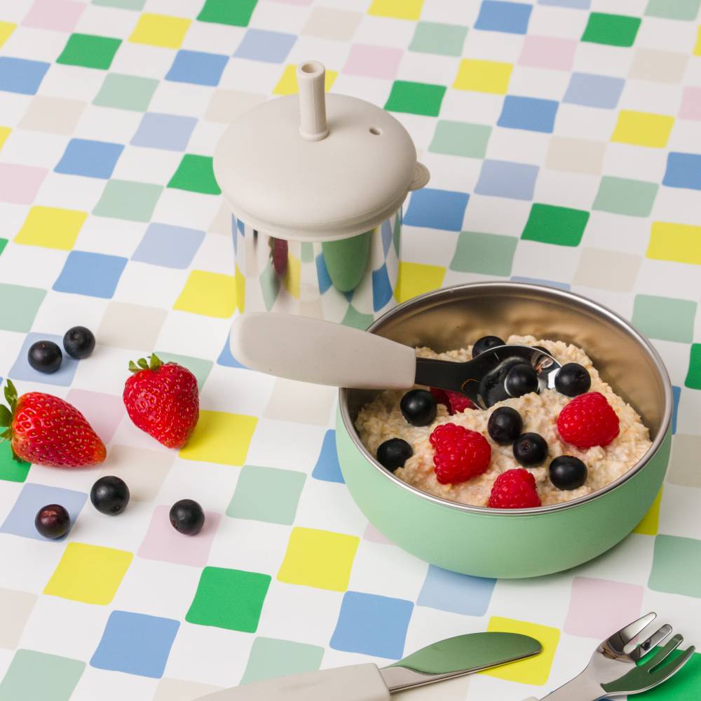 Nestling Stainless Insulated Sip & Straw Cup