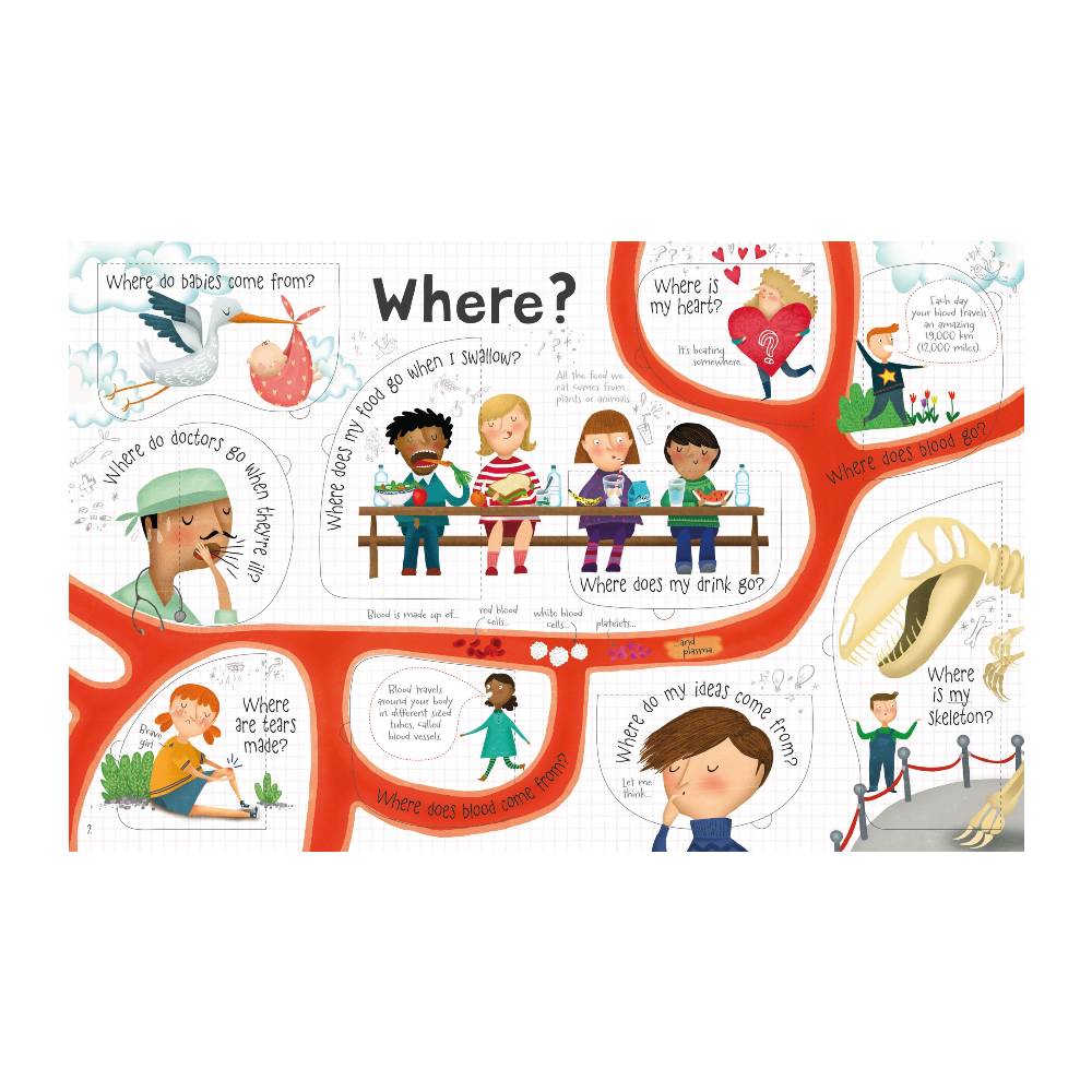 Book - Lift-the-flap Questions and Answers about your Body