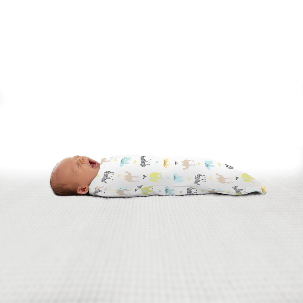 Summer Infant SwaddleMe Pod 2pk - Clearance