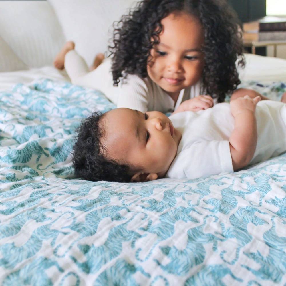 Aden & Anais Classic Dream Blanket