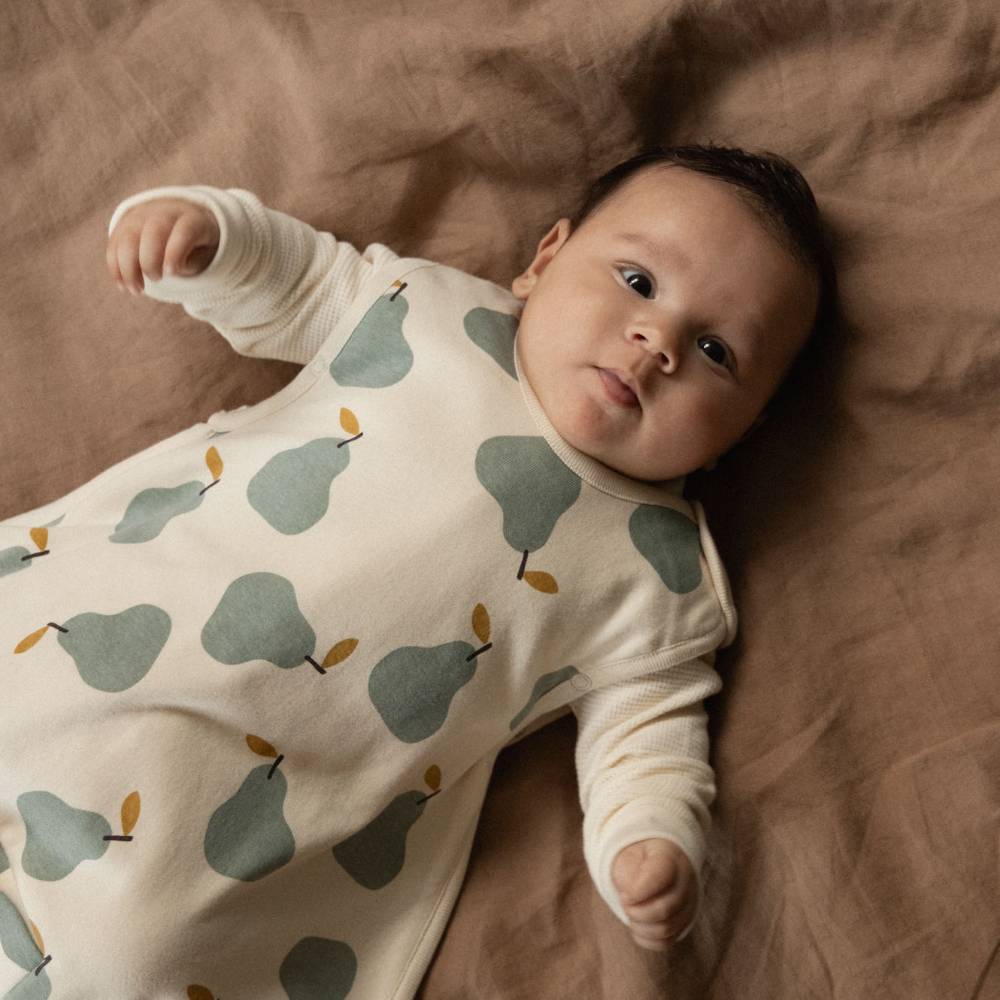 Nature Baby Organic Cotton/Merino Sleeping Bag