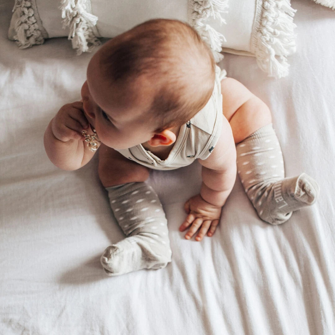 Lamington Baby Knee-High Merino Socks - Newborn Core Range