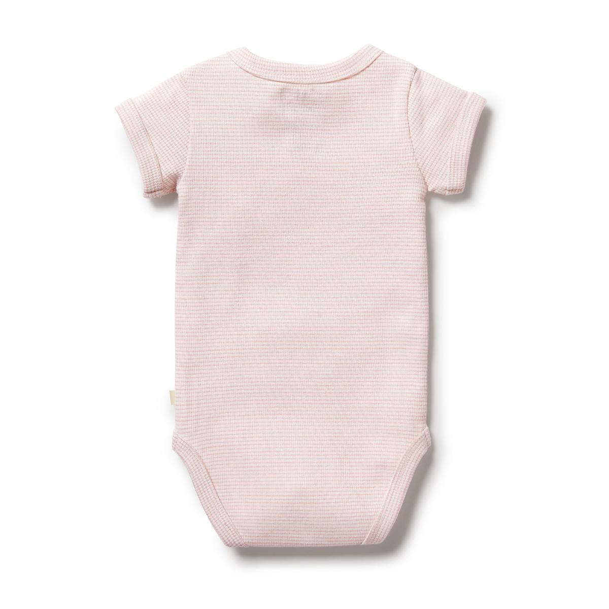 Wilson & Frenchy Organic Rib Short Sleeve Bodysuit