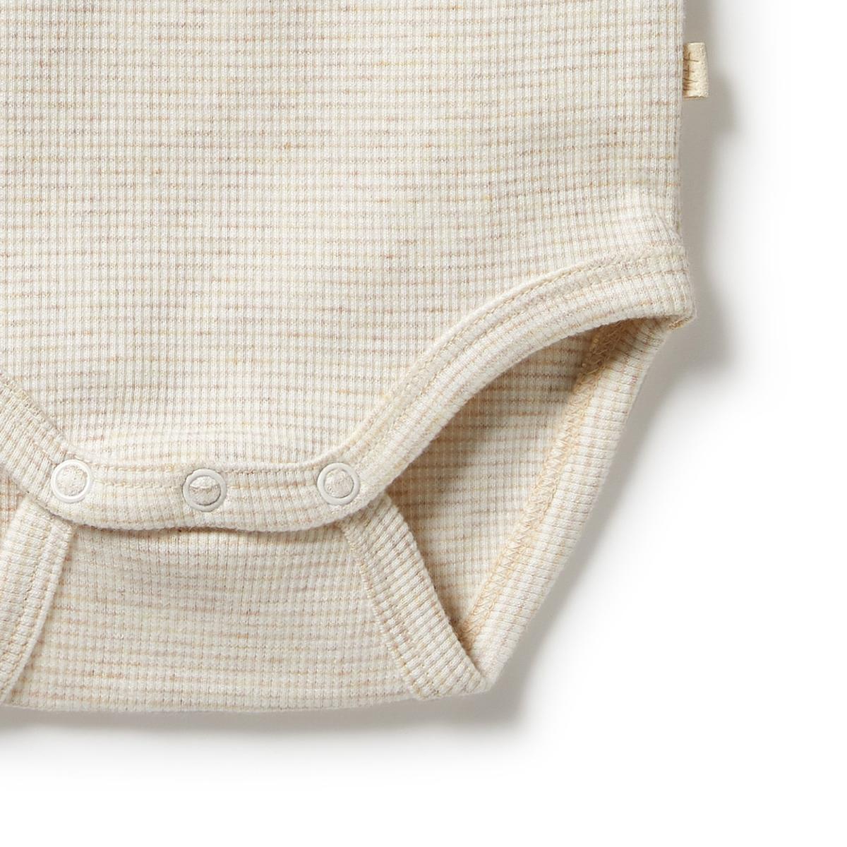 Wilson & Frenchy Organic Rib Short Sleeve Bodysuit