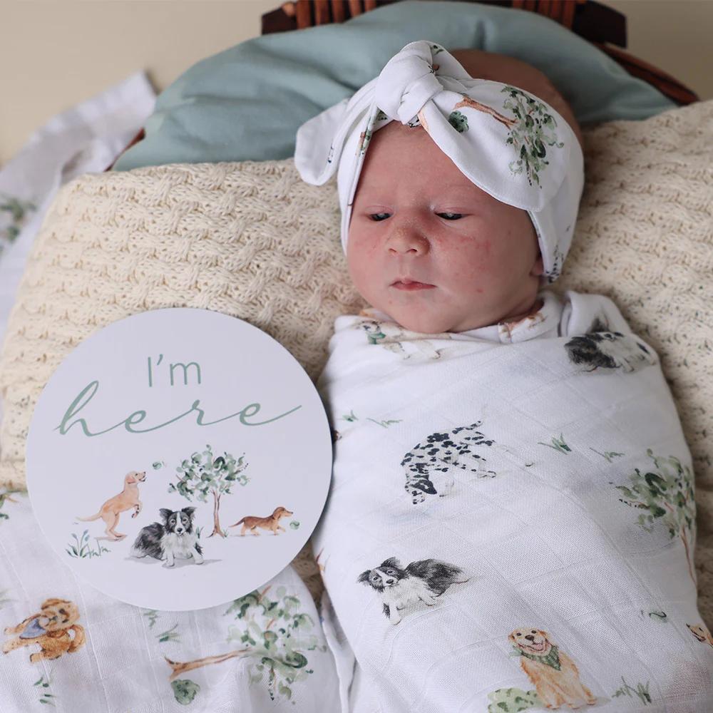 Snuggle Hunny Reversible Milestone Cards