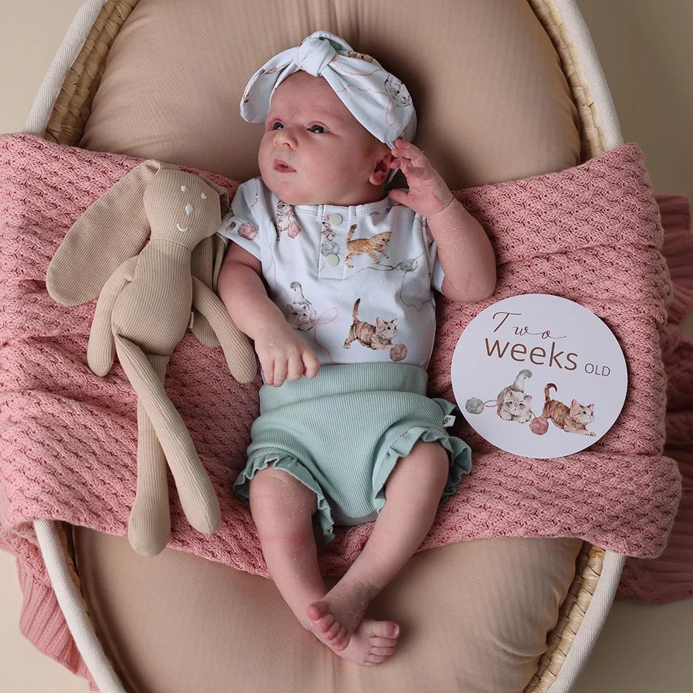 Snuggle Hunny Reversible Milestone Cards