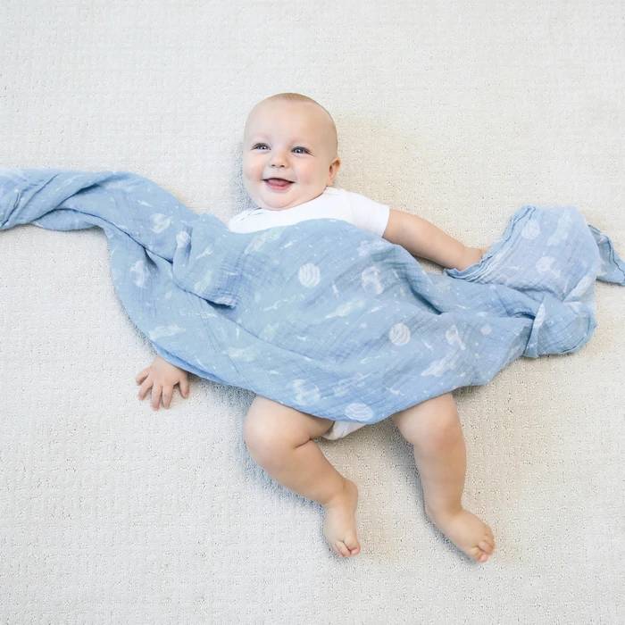 Aden + Anais Essentials Muslin Swaddles 4pk