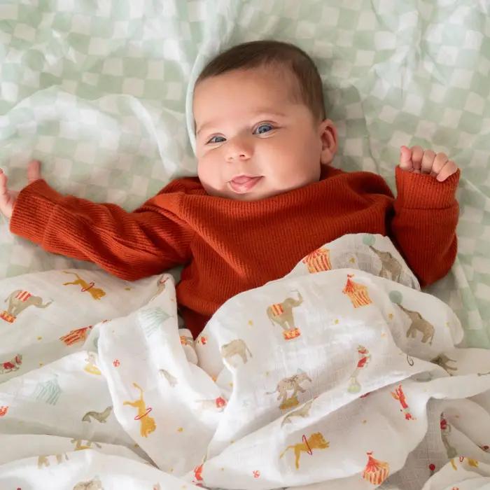 Aden + Anais Essentials Muslin Swaddles 4pk