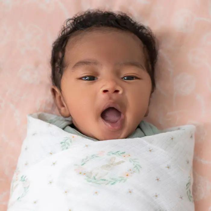 Aden + Anais Essentials Muslin Swaddles 4pk