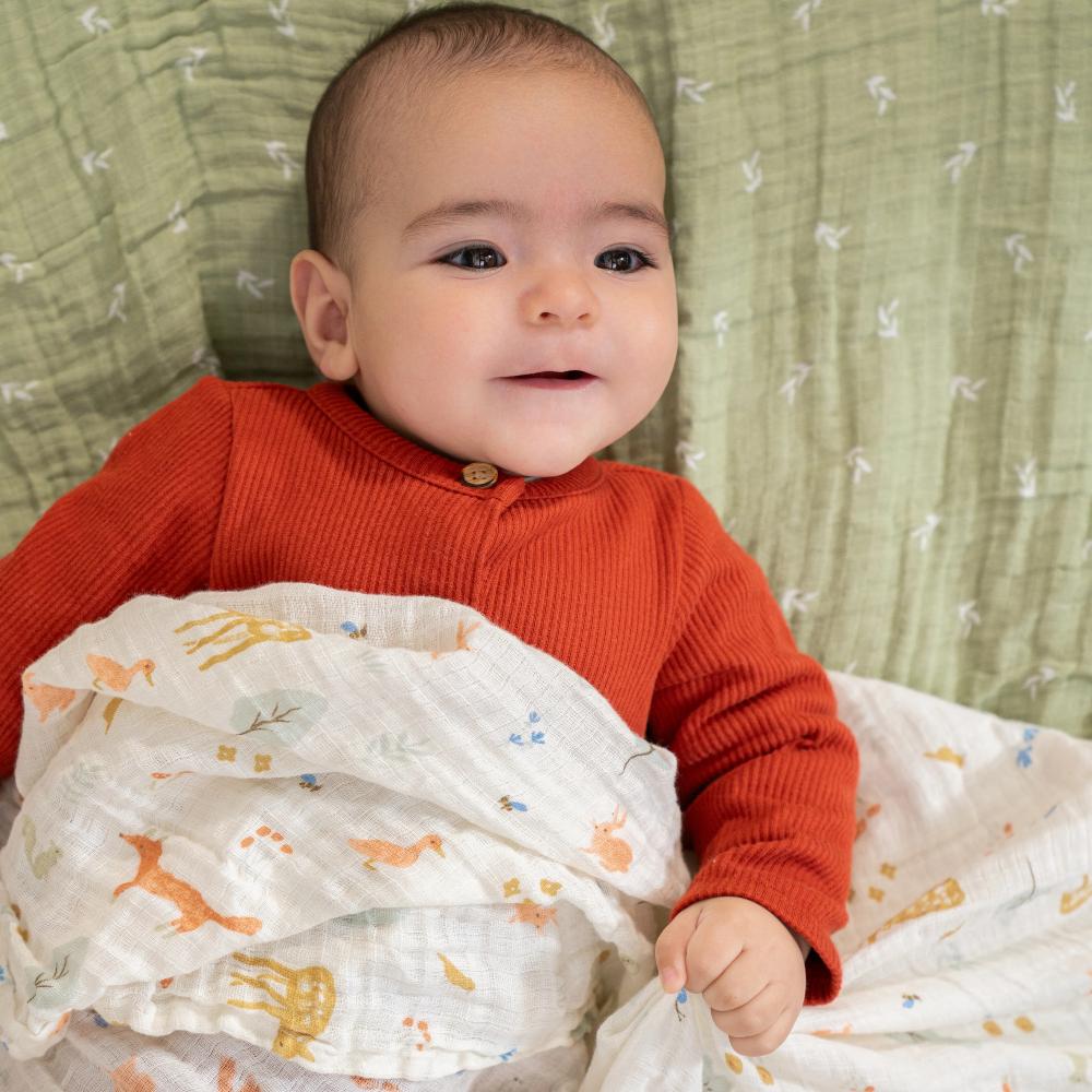 Aden + Anais Essentials Muslin Swaddles 4pk