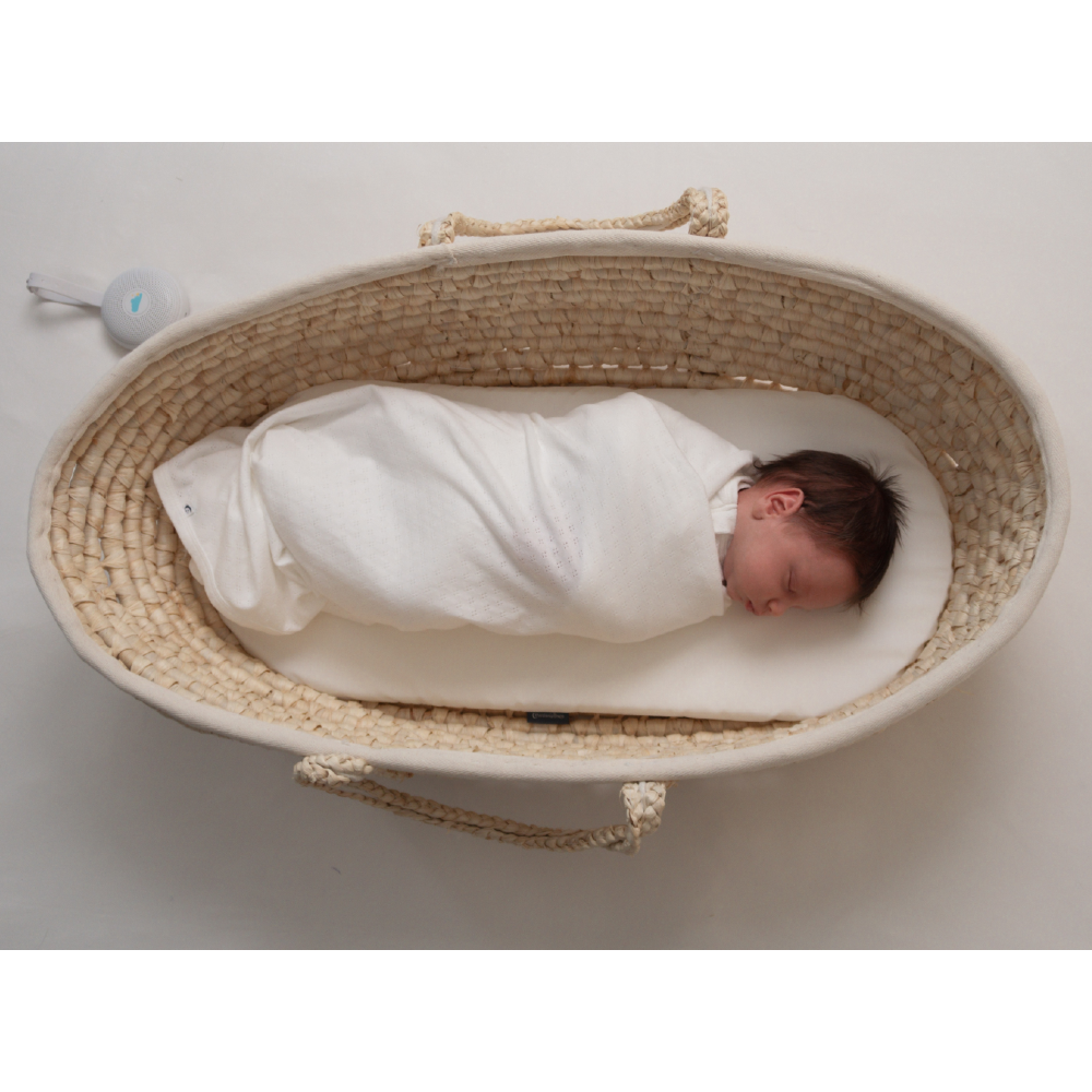 The Sleep Store Moses Basket