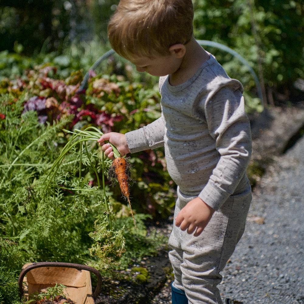 Nature Baby Merino Long Sleeve Pyjama Set