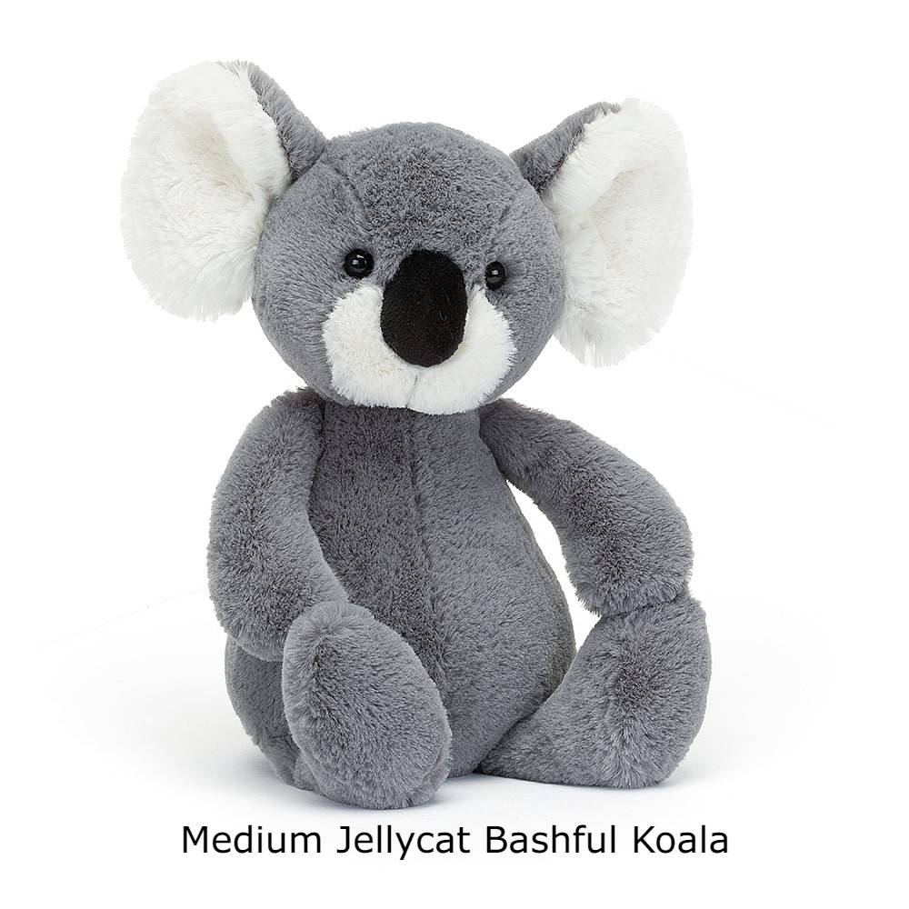 Jellycat Bashful Koala