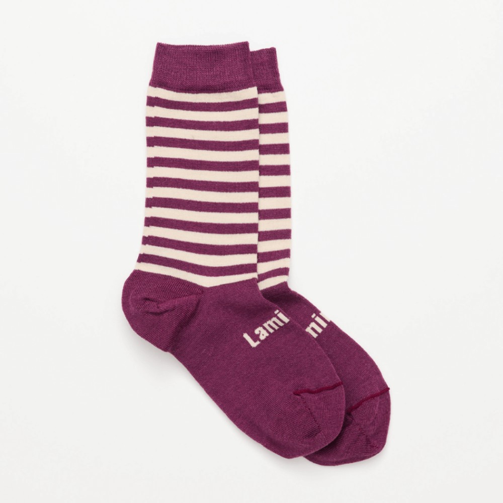 Lamington Kids Crew Merino Socks