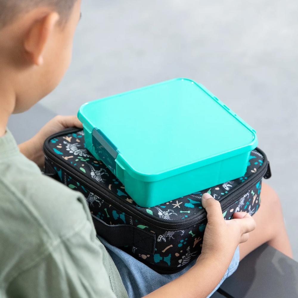 MontiiCo Bento Five Lunch Box - Clearance