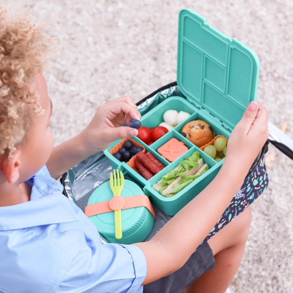 MontiiCo Bento Five Lunch Box - Clearance