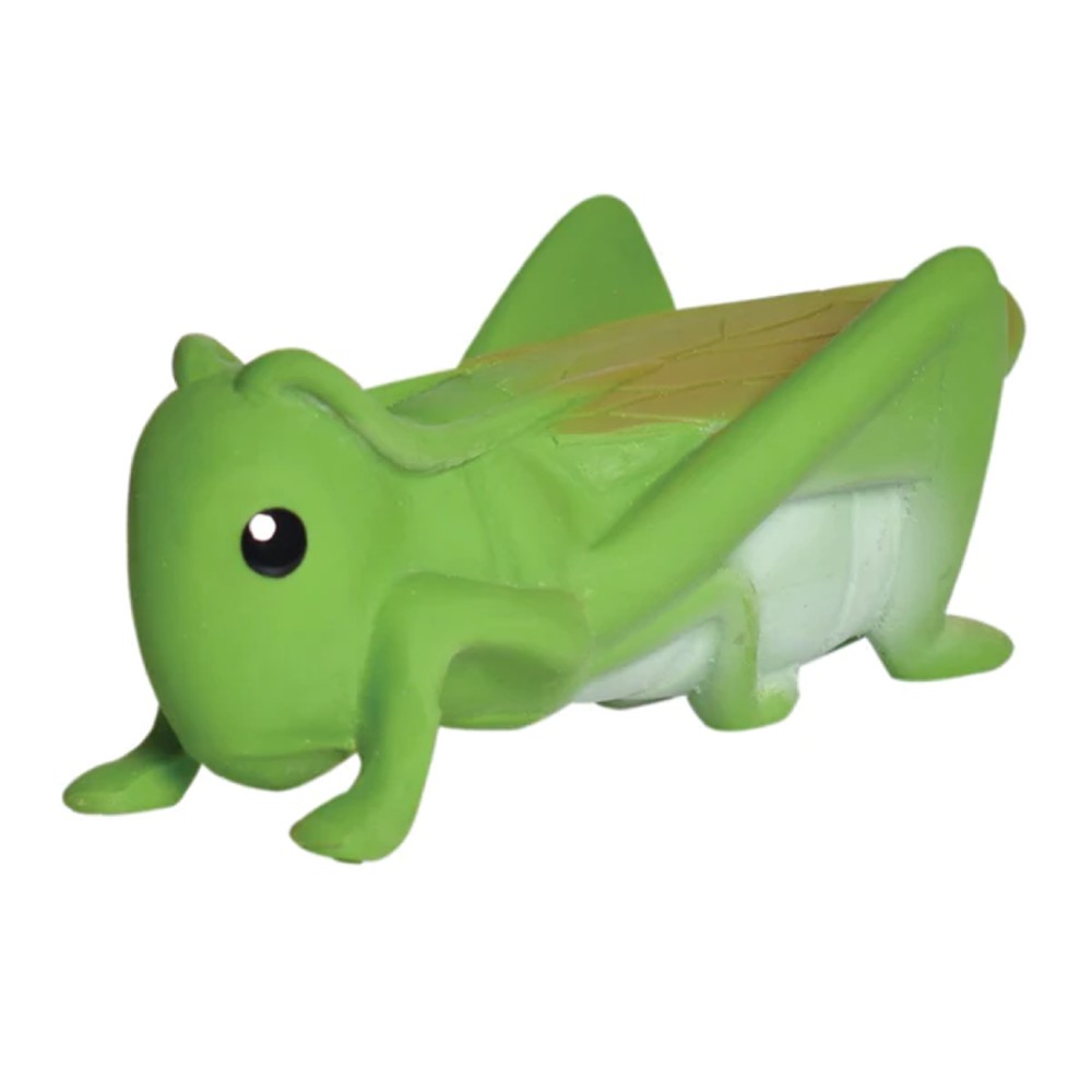 Tikiri Natural Rubber Bath Toy - Grasshopper