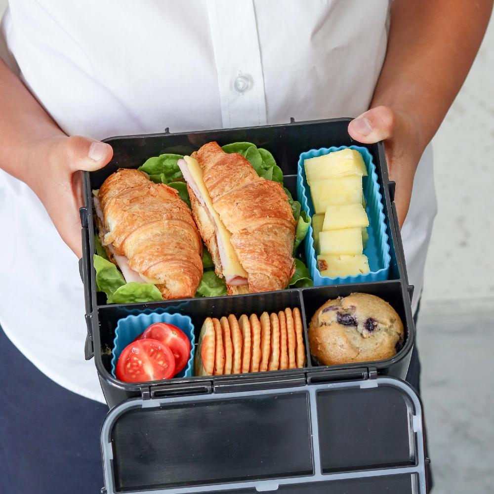 MontiiCo Bento Silicone Cups Mixed