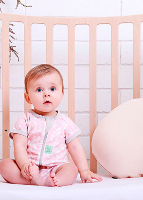 Introduction to Babies 6 to 12 Months