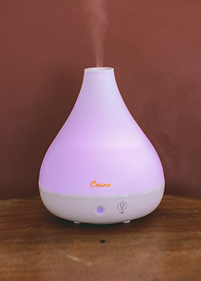 stores that sell humidifiers