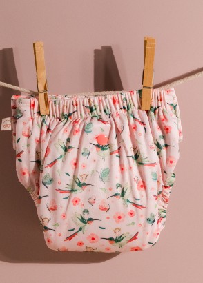 Cloth Nappy Wash Routines