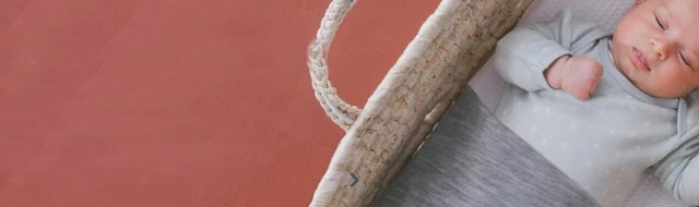 category-banner
