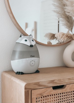 Comparing Humidifiers and Diffusers, Winter Wellbeing