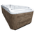 Swim Spa 21'