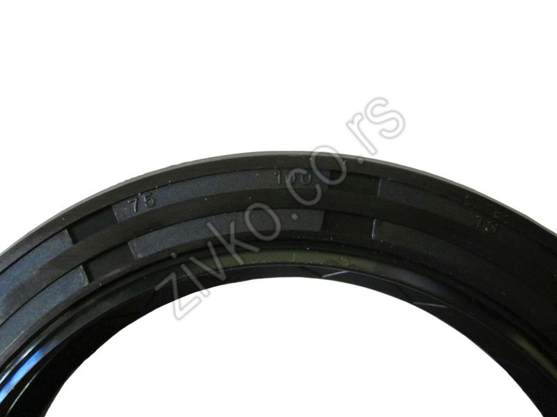 Dichtungen 75x100x13 - 4