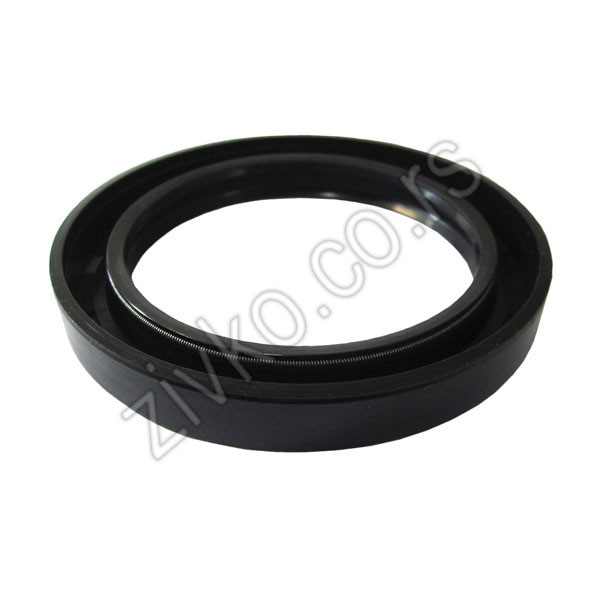 Dichtungen 75x100x13 - 2