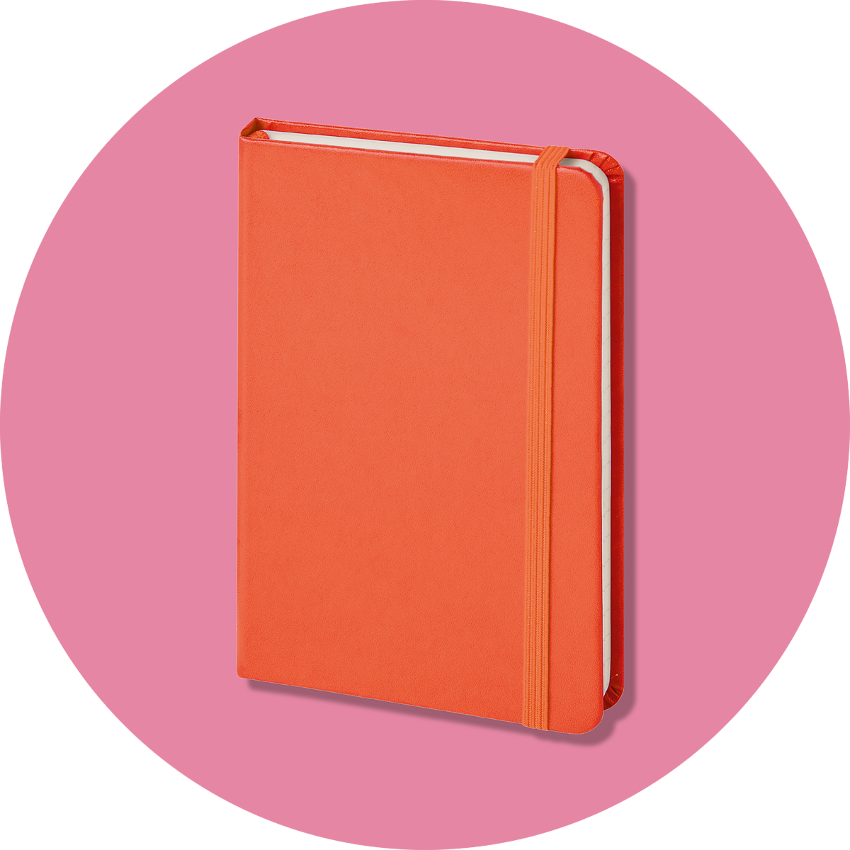 Quaderni e block notes