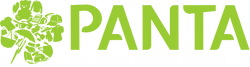 Panta