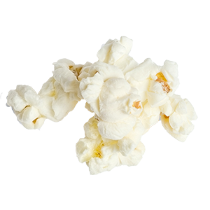 Plain piece of popcorn