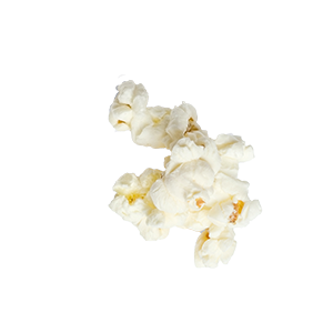 seasoned white popcorn