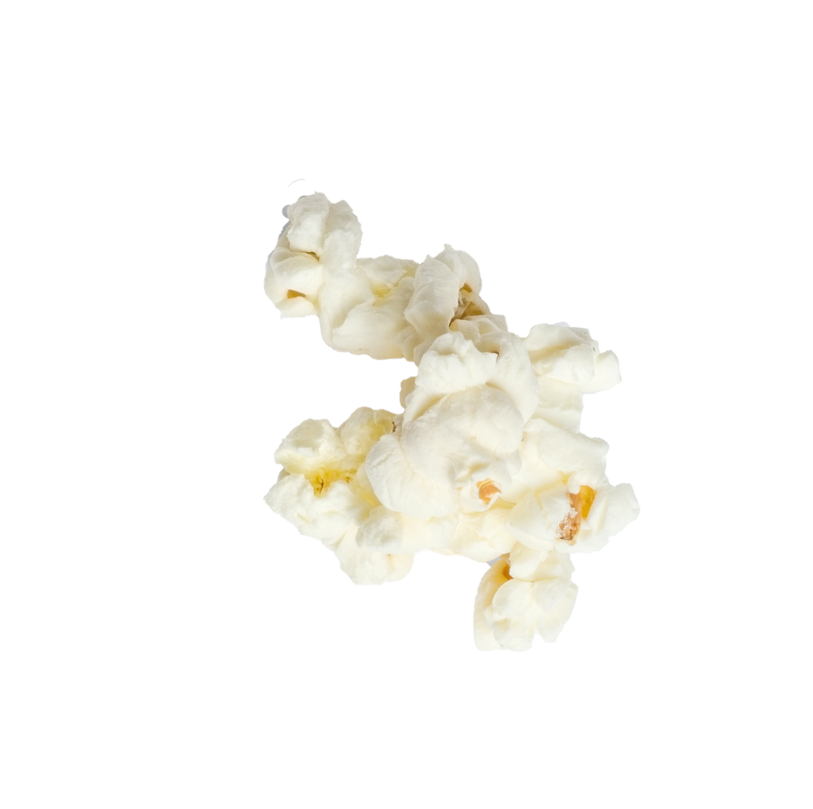 seasoned white popcorn