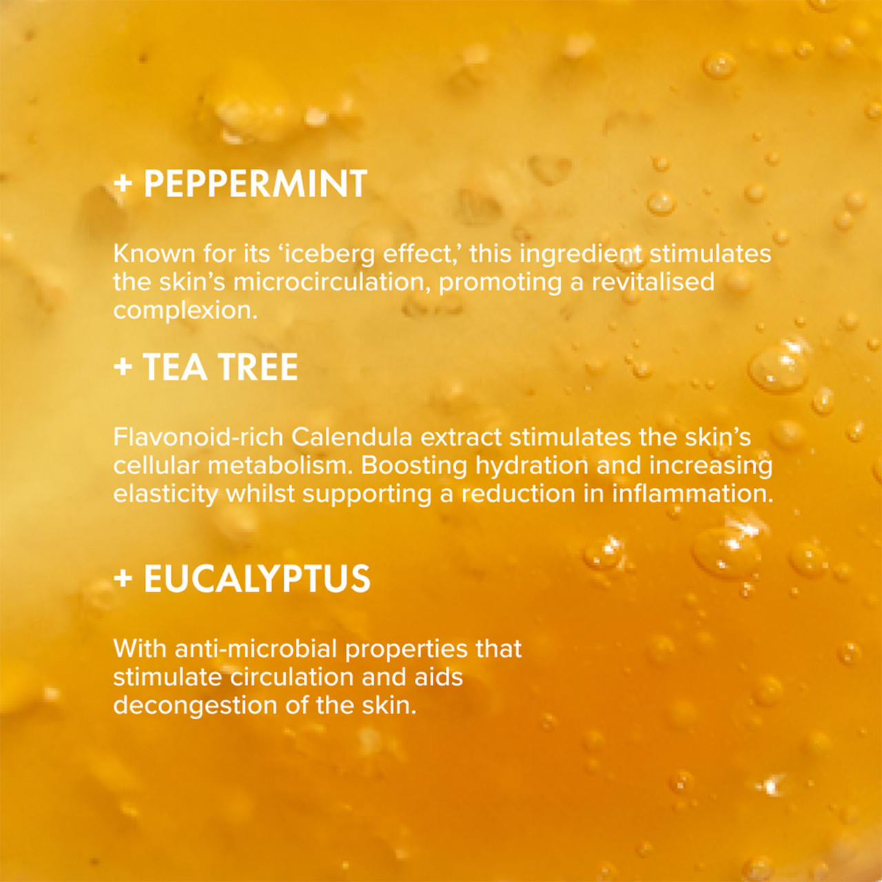 Peppermint Facial Wash Duo